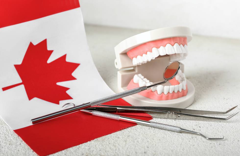 Jaw model with dental tools and flag of Canada indicating the CDCP